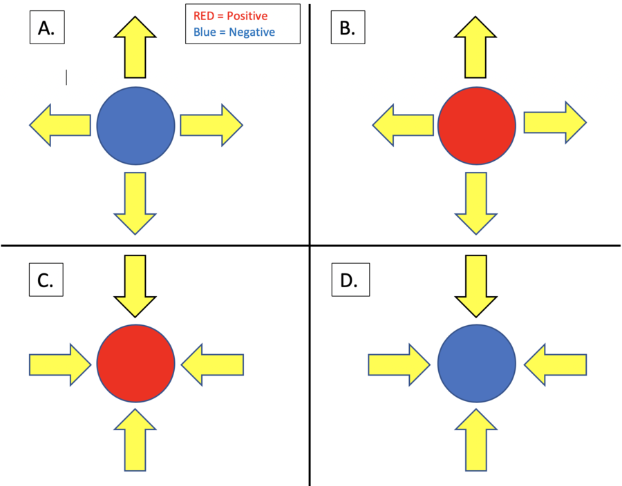 WHAT DOES ELECTRIC FIELD MEAN IN PHYSICS visual data 4